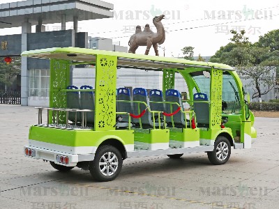 青蛙主題造型電動(dòng)觀光車