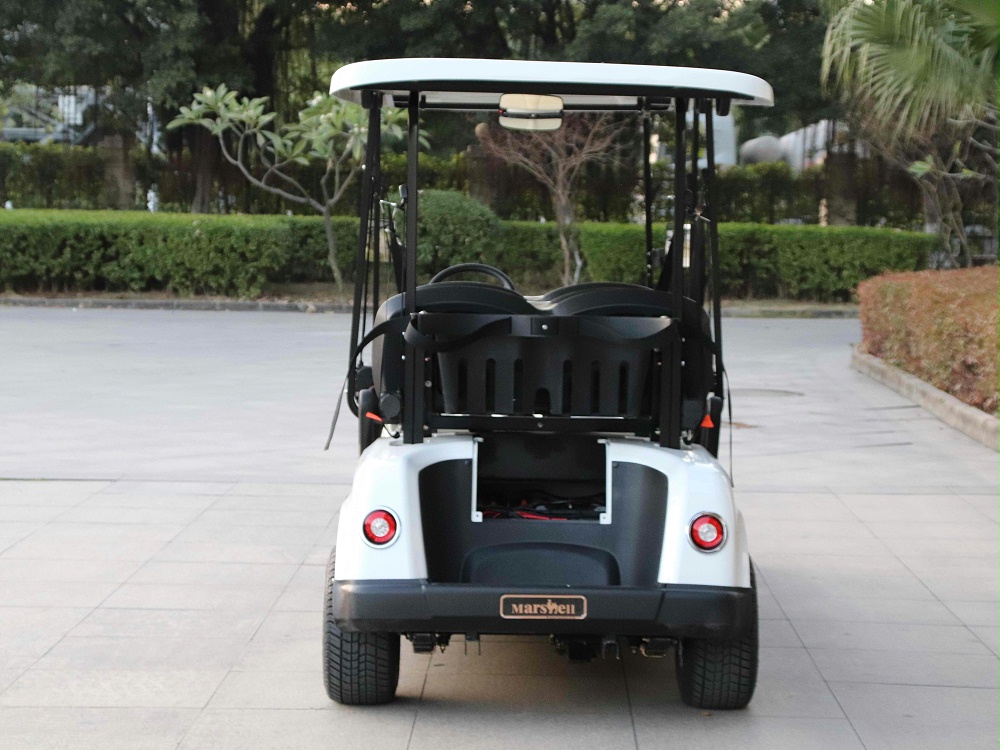 六座電動高爾夫球車DG-C6-8