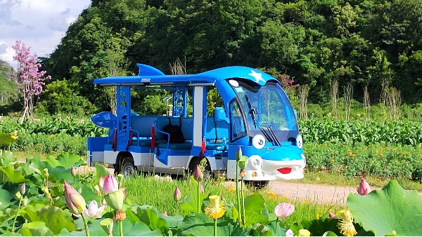 讓瑪西爾“海豚”觀光車帶您游山玩水吧！