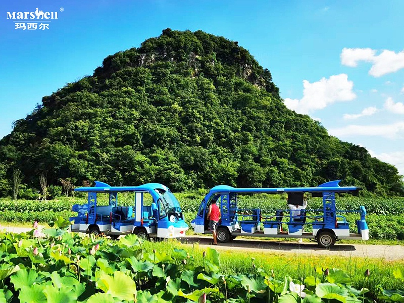 瑪西爾電動(dòng)造型觀光車